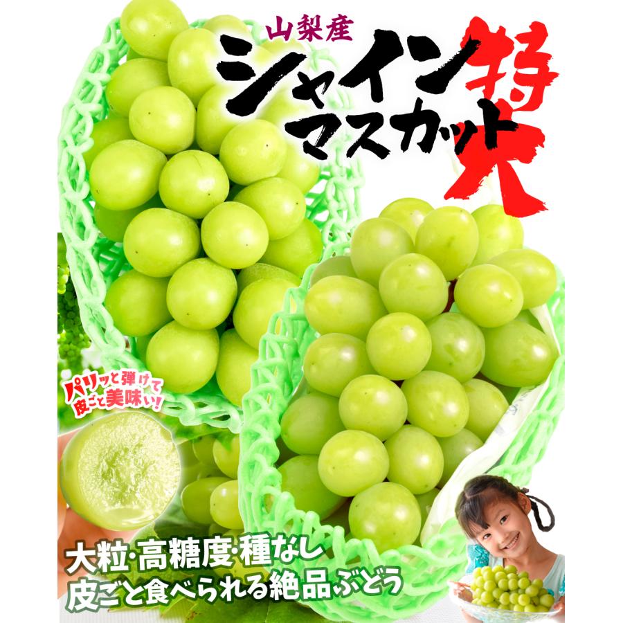 ぶどう 山梨産 大特価 シャインマスカット 2房 (約1.2kg) 大房 ぶどう 山梨産 大特価 シャインマスカット 2房 (約1.2kg) 大房