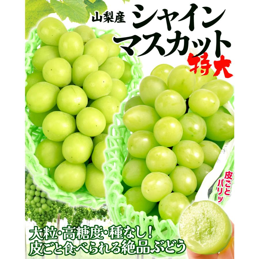 ぶどう 約1.2kg（2房） シャインマスカット 山梨産 お買得 甘くて