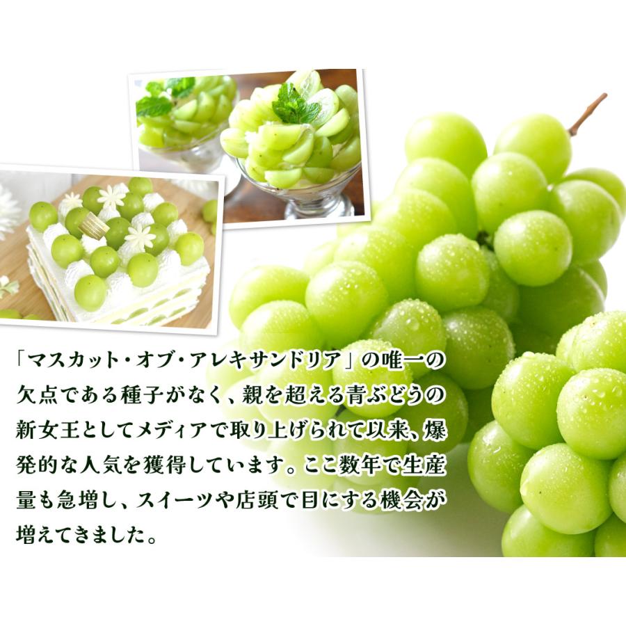 ぶどう 約1.2kg（2房） シャインマスカット 山梨産 お買得 甘くて