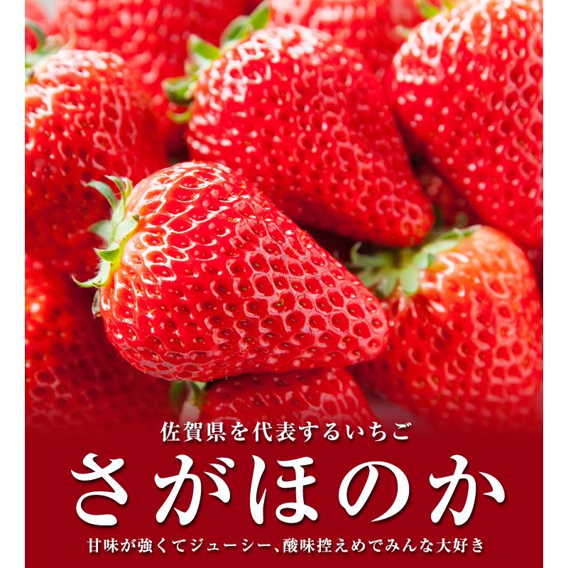 いちご 早割 インターネット限定 佐賀産 さがほのか ４パック ご家庭用 いちご イチゴ F039 食みらい 国華園 通販 Yahoo ショッピング