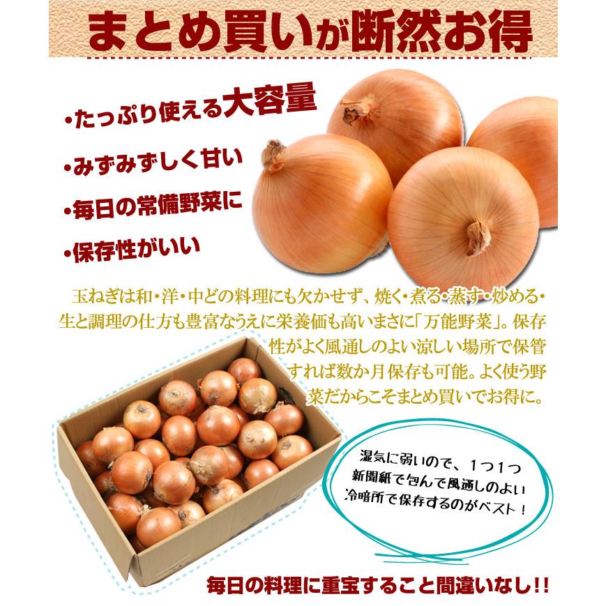 たまねぎ 北海道産 たまねぎ 10kg Lサイズ 玉葱 ご家庭用 大量 野菜 国華園 F045 食みらい 国華園 通販 Yahoo ショッピング