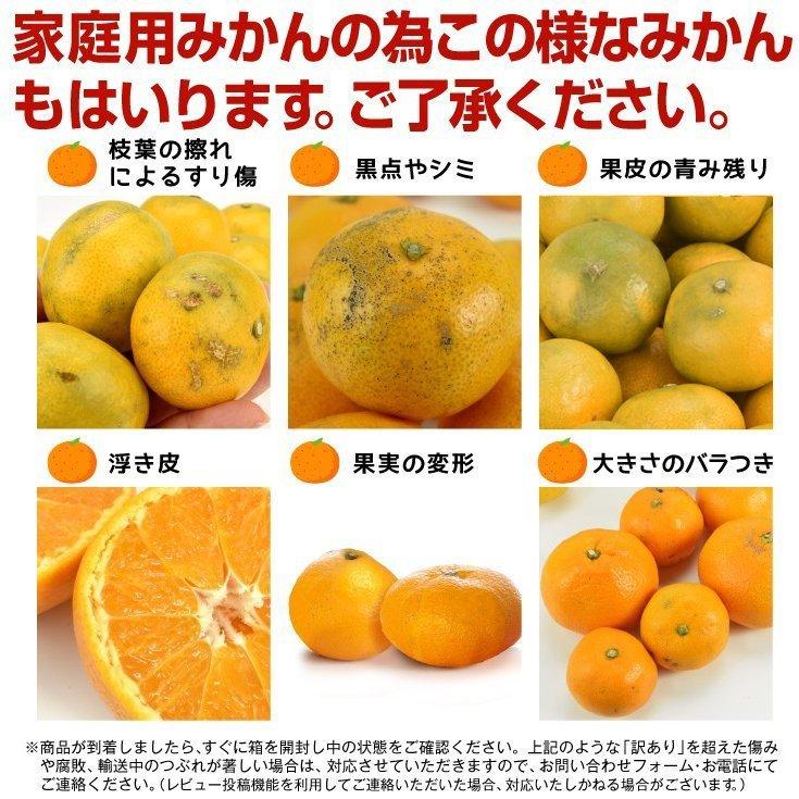 みかん 10kg 熊本産 こたつみかん 送料無料 食品 :f82051:食みらい・国華園 - 通販 - Yahoo!ショッピング みかん 10kg 熊本産 こたつみかん 送料無料 食品 :f82051:食みらい・国華園 - 通販 - Yahoo!ショッピング
