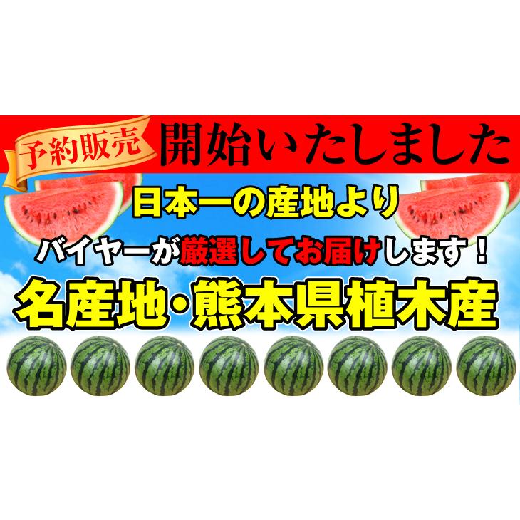 すいか 1玉 植木のすいか 熊本産 送料無料 食品｜seikaokoku｜09