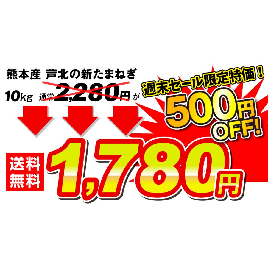 玉ねぎ 10kg 限定特価 芦北の新たまねぎ 熊本産 ご家庭用 ふぞろい しんたま 送料無料 食品｜seikaokoku｜04