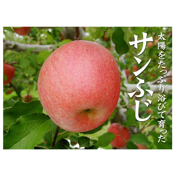 りんご 10kg 葉とらずふじ 青森産 ご家庭用 送料無料 食品｜seikaokoku｜05