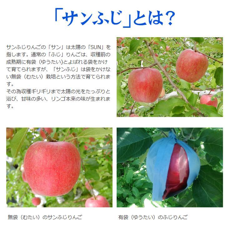 りんご 10kg ご家庭用 葉とらずふじ 青森産 送料無料 食品 : 食みらい
