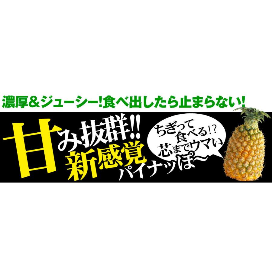 パイン（3玉）沖縄産 スナックパイン ちぎって食べられる 送料無料 国産 パイナップル フルーツ 食品 :f82235:食みらい・国華園 - 通販 -  Yahoo!ショッピング