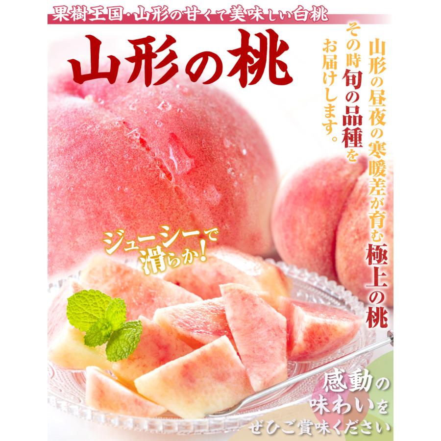 もも 約5kg 大特価 山形の白桃 山形産 送料無料 食品｜seikaokoku｜03