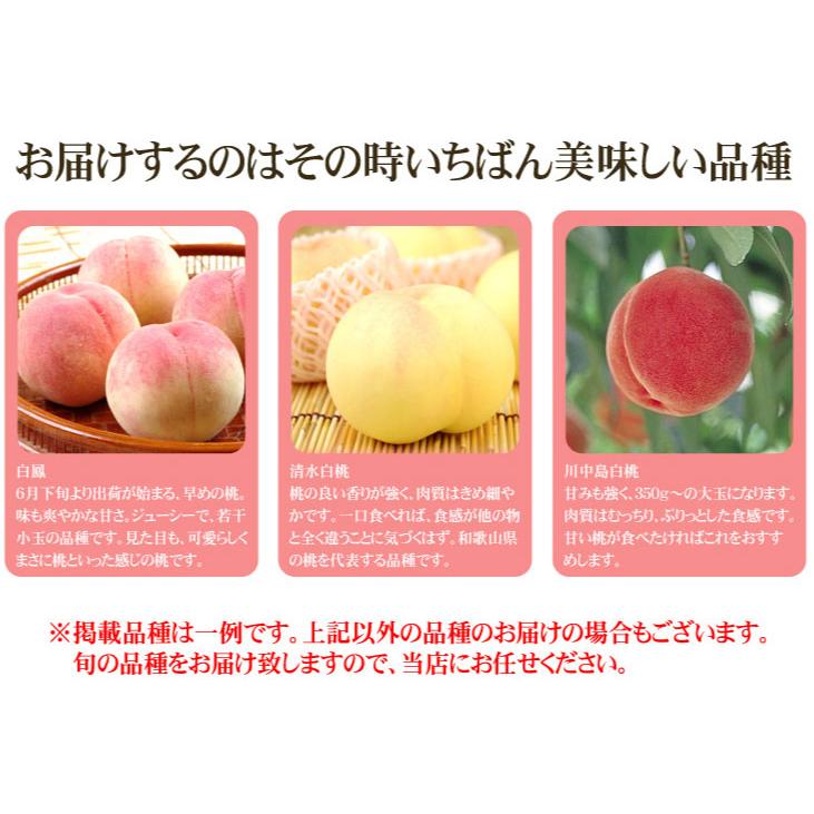 もも 5kg 大特価 山形の白桃 山形産 真夏の太陽で甘〜く熟した桃 ご