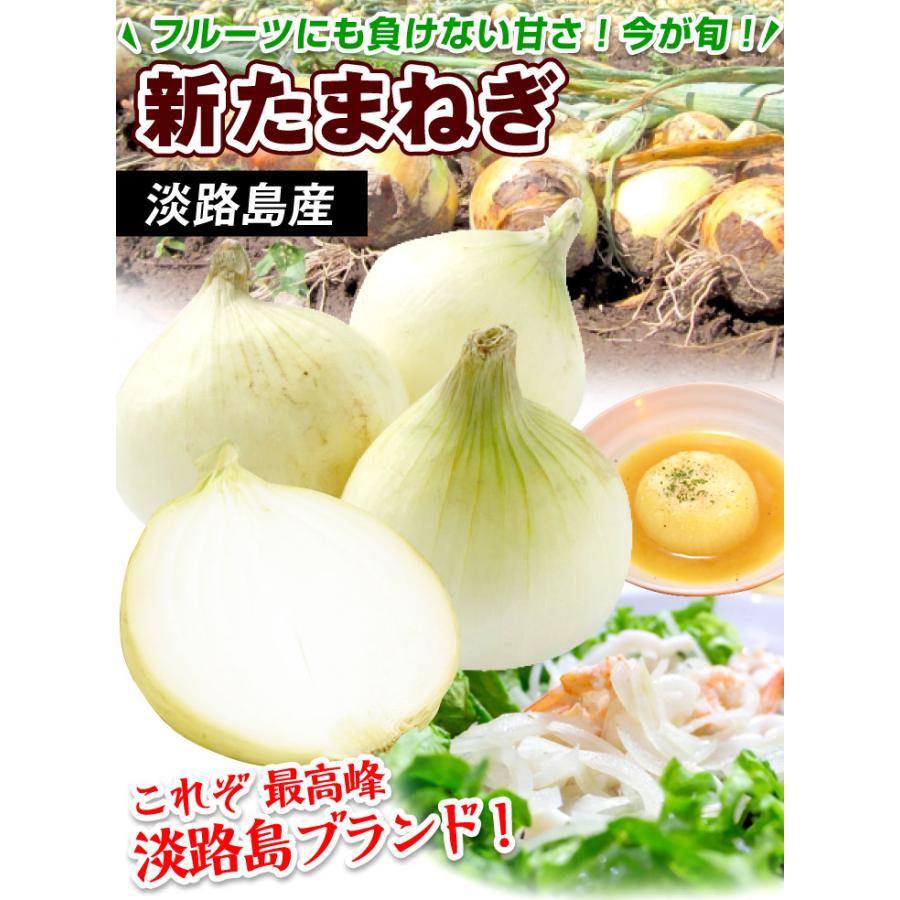 たまねぎ 淡路島産 新たまねぎ 10kg 送料無料 食品 : 食みらい