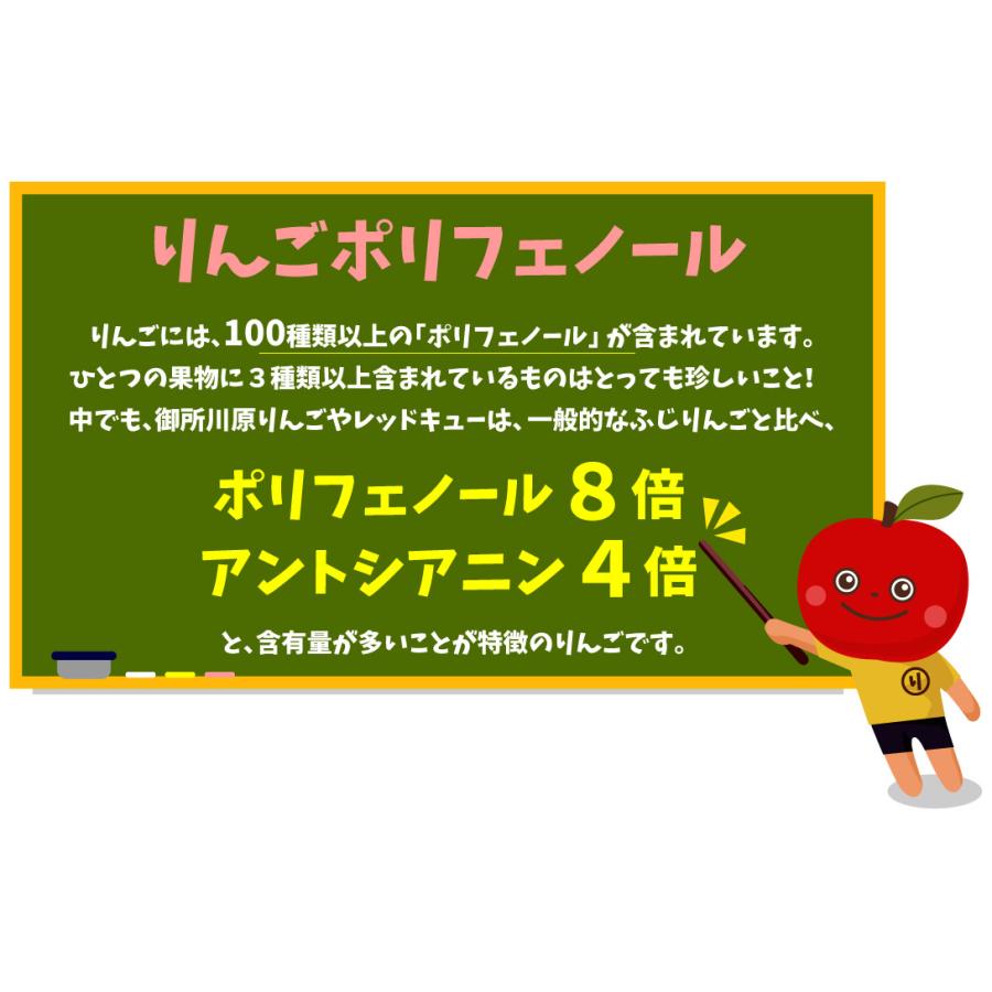 りんご 3kg レッドキュー 青森産 希少品種 送料無料 食品｜seikaokoku｜02