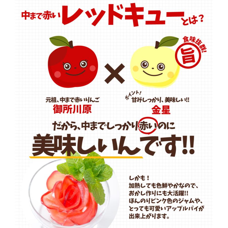 りんご 3kg レッドキュー 青森産 希少品種 送料無料 食品｜seikaokoku｜03
