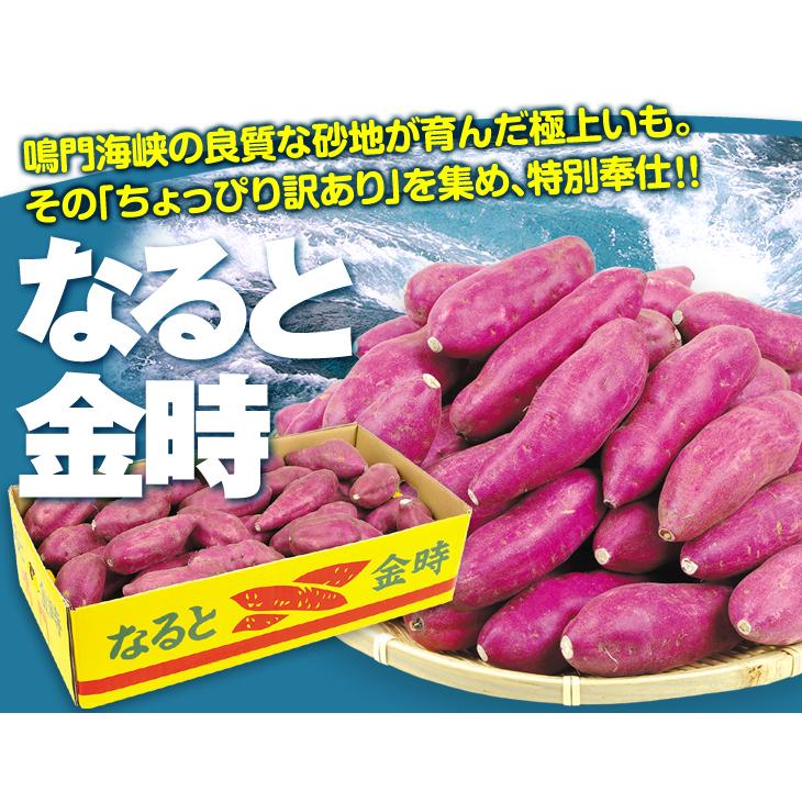 さつまいも 5kg 徳島産 ご家庭用 なると金時 送料無料 食品｜seikaokoku｜02