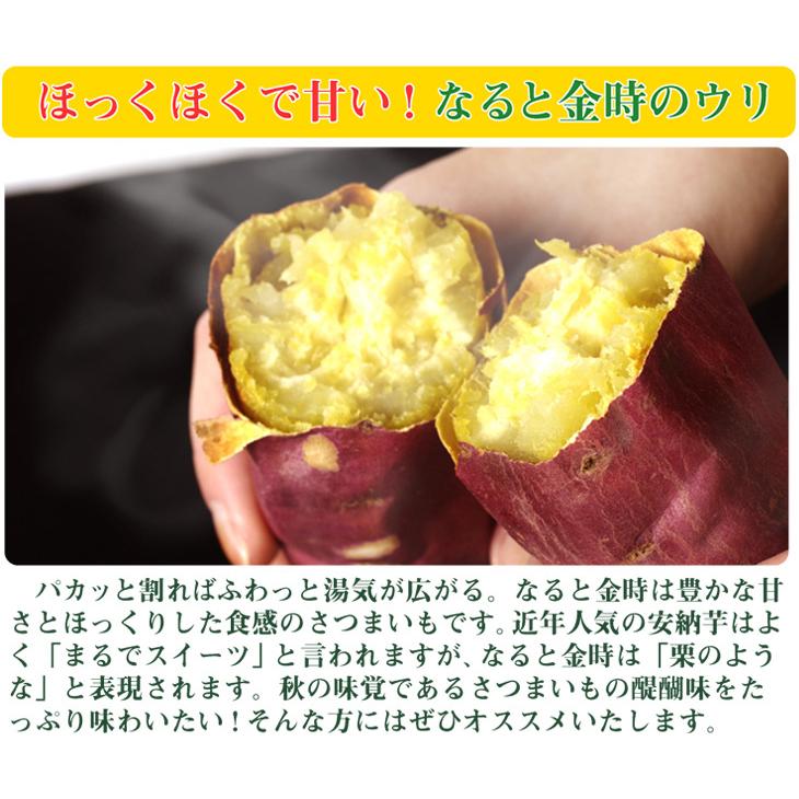 さつまいも 5kg 徳島産 ご家庭用 なると金時 送料無料 食品｜seikaokoku｜04