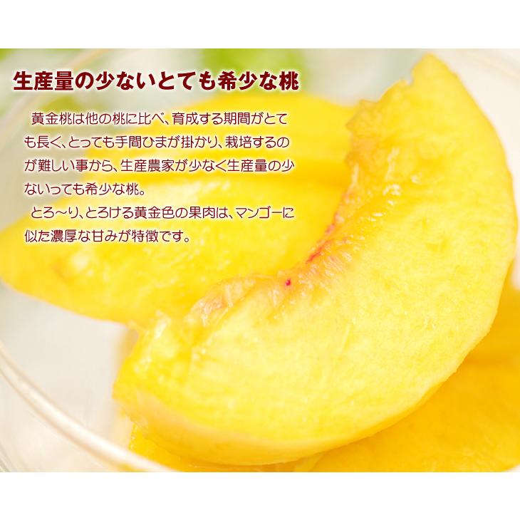もも 約5kg 大特価 山形の黄桃 山形産 送料無料 食品｜seikaokoku｜03