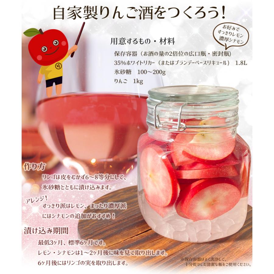 りんご 青森産 栄紅 3kg えいこう 赤肉りんご 送料無料 食品 りんご 青森産 栄紅 3kg えいこう 赤肉りんご 送料無料 食品