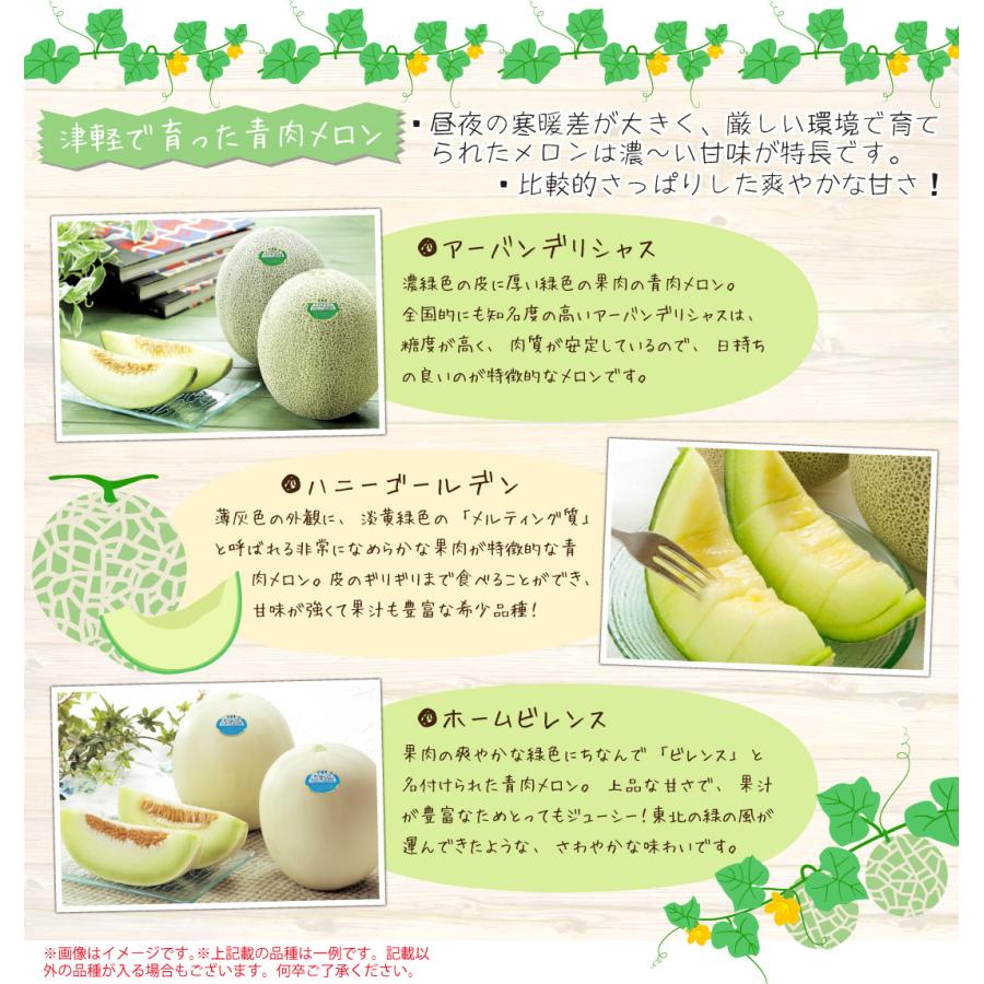 メロン 約4.5kg おまかせ つがる青肉メロン 青森産 送料無料 メロン 約4.5kg おまかせ つがる青肉メロン 青森産 送料無料