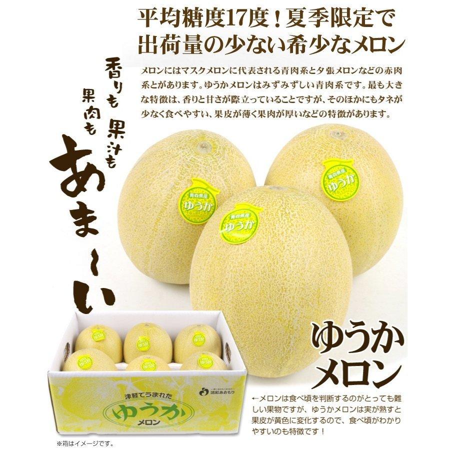 メロン ゆうかメロン 約5kg 青森産 青肉メロン 甘い フルーツ 果物