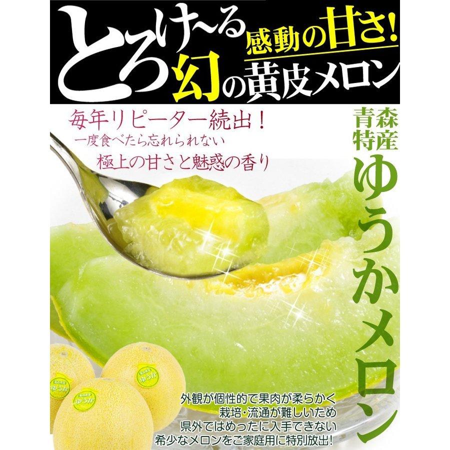 メロン ゆうかメロン 約8kg 青森産 青肉メロン 甘い フルーツ 果物