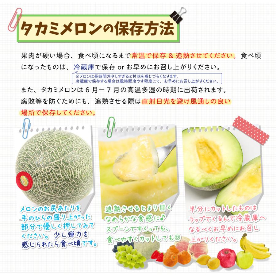 ４玉・神奈川県・jey’s shop・タカミメロン 4玉・神奈川県・jey's shop・タカミメロン 🍈メロン販売開始