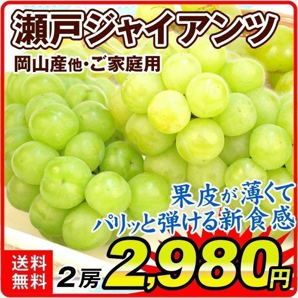 ぶどう 岡山 香川 山梨産 ご家庭用 瀬戸ジャイアンツ 約500g 2房 常温 種