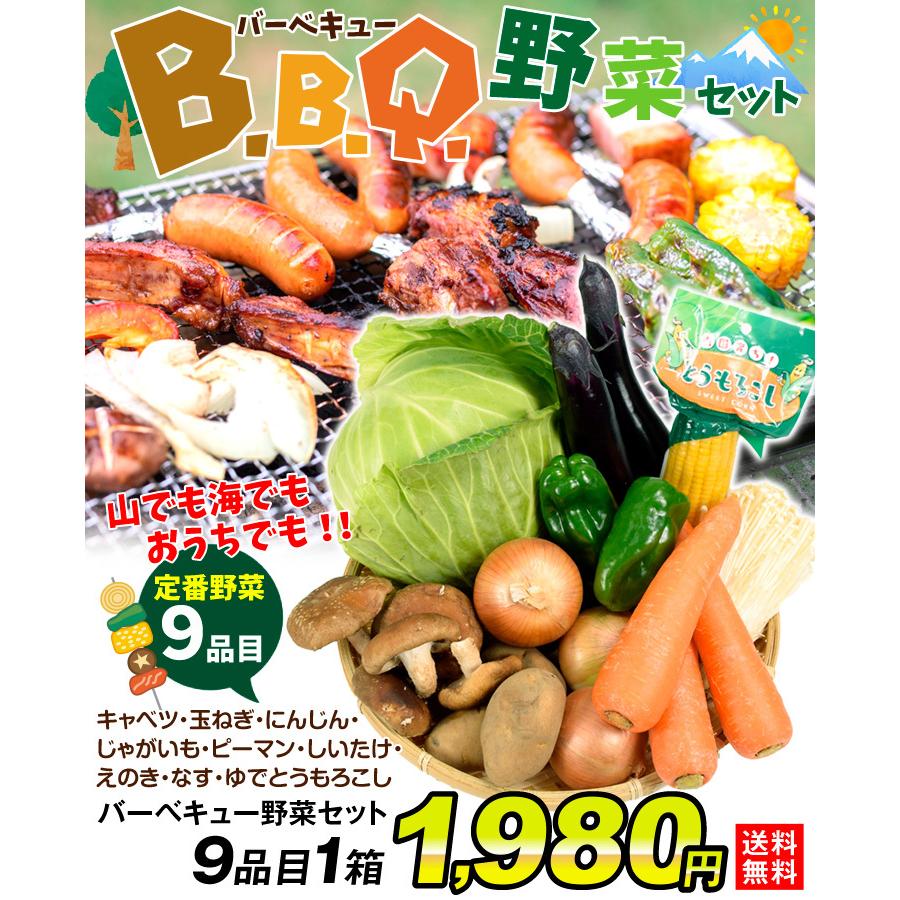野菜セット 国産 バーベキュー野菜セット 9種1箱 送料無料 BBQ