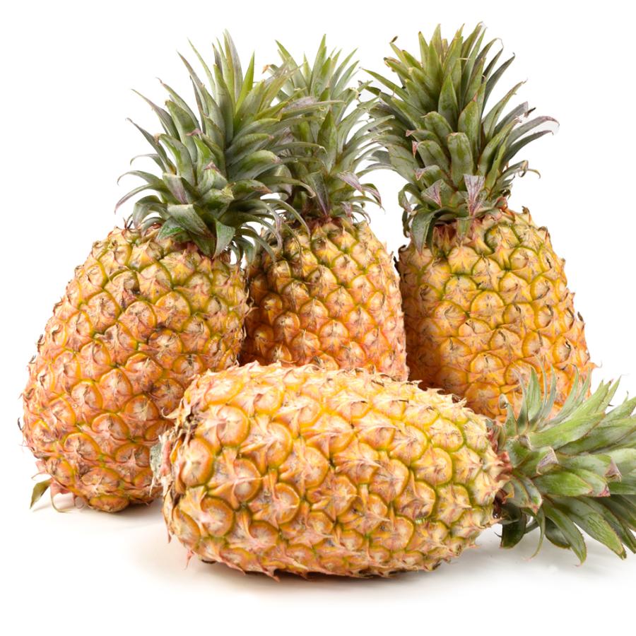 パイン 10kg 金鑚パイン 台湾産 きんさん きんさんパイン パイナップル 送料無料 食品 |  | 10