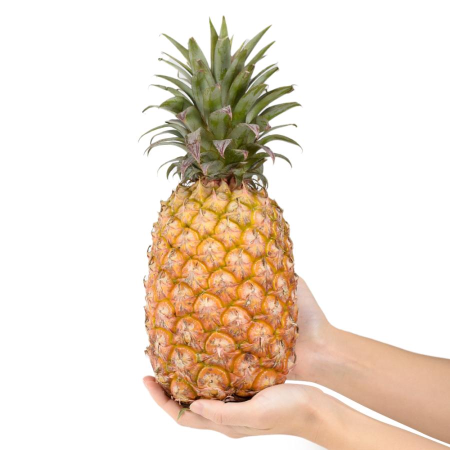 パイン 10kg 金鑚パイン 台湾産 きんさん きんさんパイン パイナップル 送料無料 食品 |  | 11