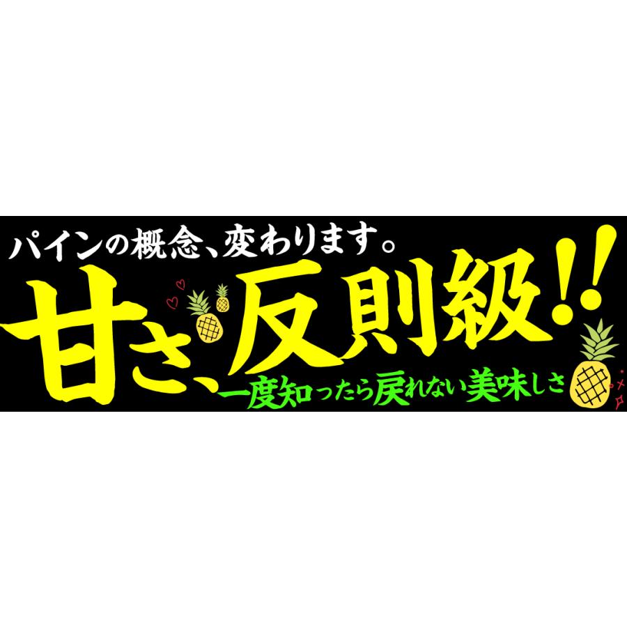 パイン 10kg 金鑚パイン 台湾産 きんさん きんさんパイン パイナップル 送料無料 食品 |  | 01