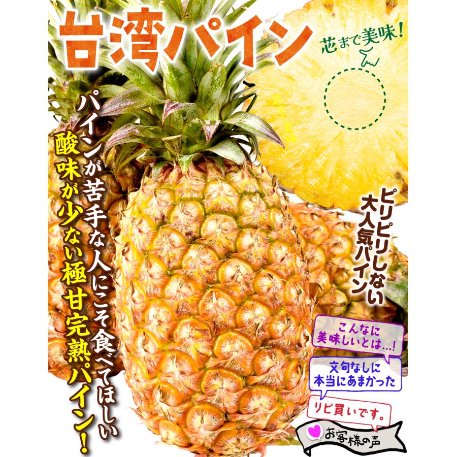 パイン 10kg 金鑚パイン 台湾産 きんさん きんさんパイン パイナップル 送料無料 食品 |  | 02