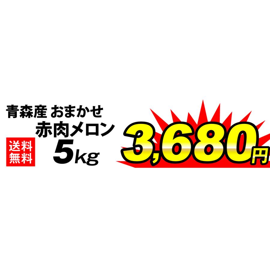 メロン 約5kg おまかせ 赤肉メロン 青森産 大特価 赤肉 おまかせメロン 送料無料 食品｜seikaokoku｜03