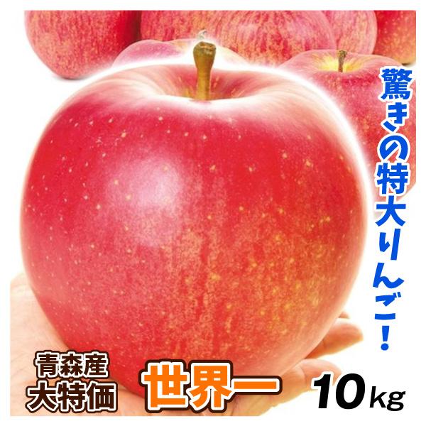 食品 青森産 世界一 10kg セール品 送料無料 1箱 りんご