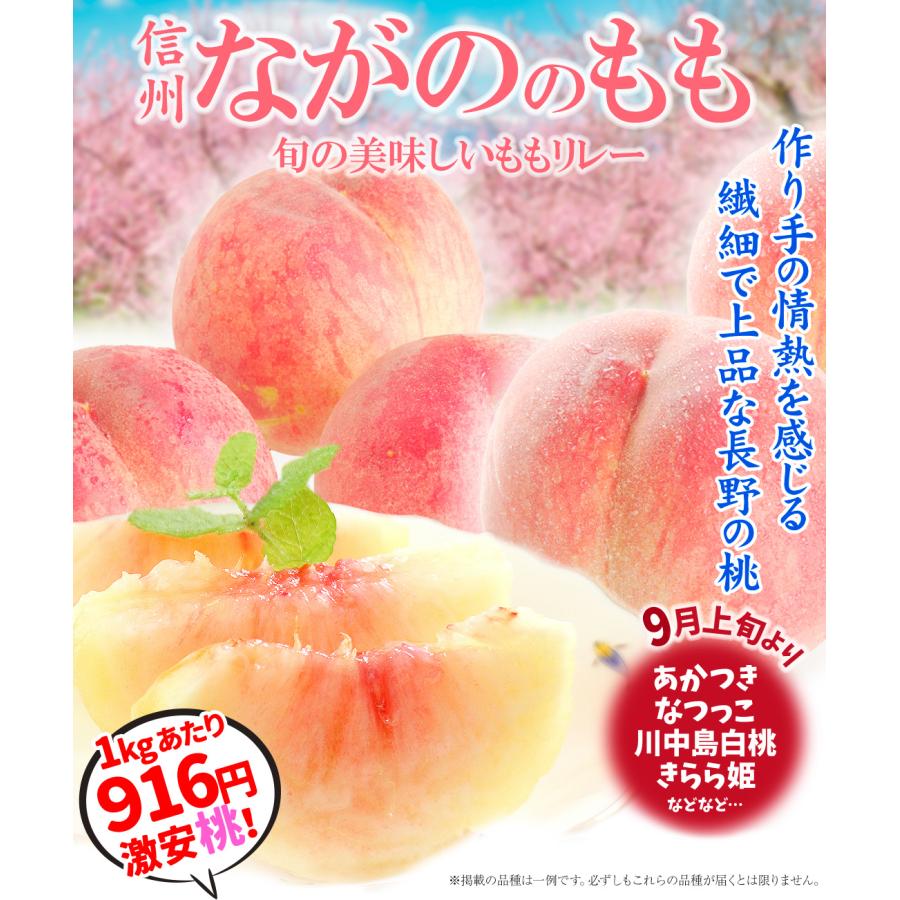 川中島白鳳 もも 桃 フルーツ 果物 長野県産 通販