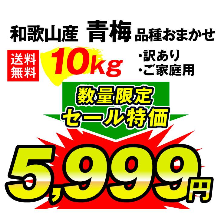 梅 食品 和歌山産 訳あり 青梅 10kg 品種おまかせ ご家庭用 常温便 国
