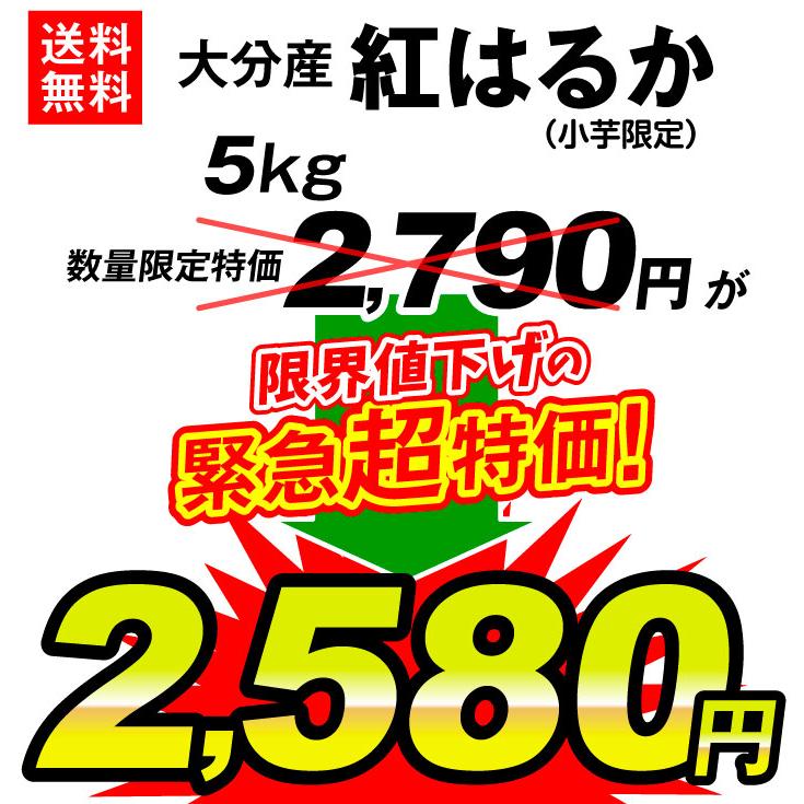 数量限定）さつまいも 生芋 5kg 大分産 紅はるか（小芋）訳あり ご家庭用 甘藷 サツマイモ 送料無料 食品 国華園  :f82910:食みらい・国華園 - 通販 - Yahoo!ショッピング