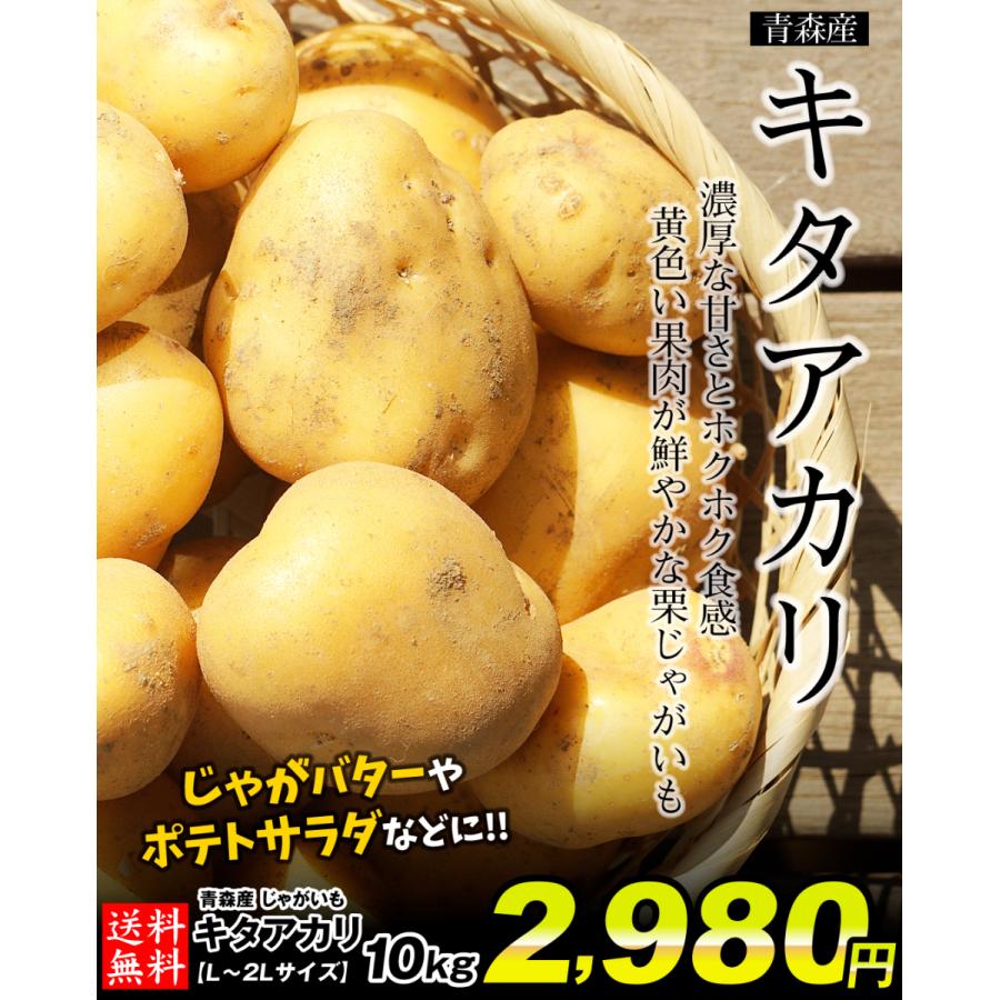 じゃがいも 青森産 キタアカリ 10kg 1箱 (L~2L) 送料無料 数量限定 食品 国華園｜seikaokoku｜02