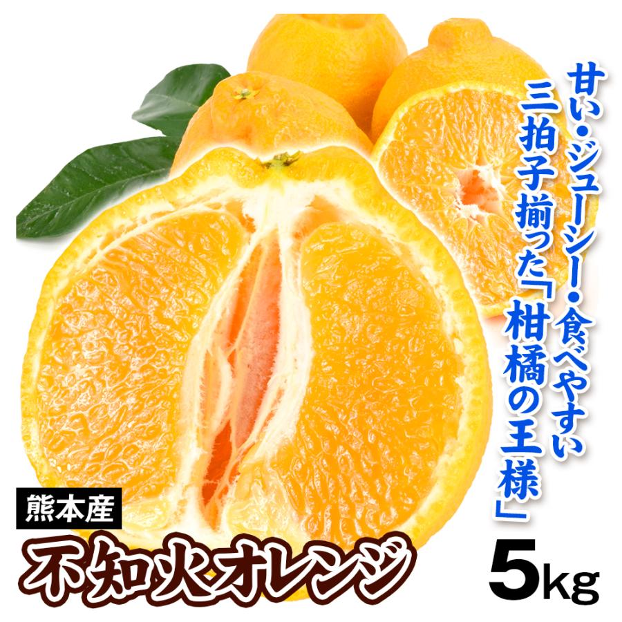 みかん 5kg 不知火オレンジ 熊本産 お買得 不知火 オレンジ デコ