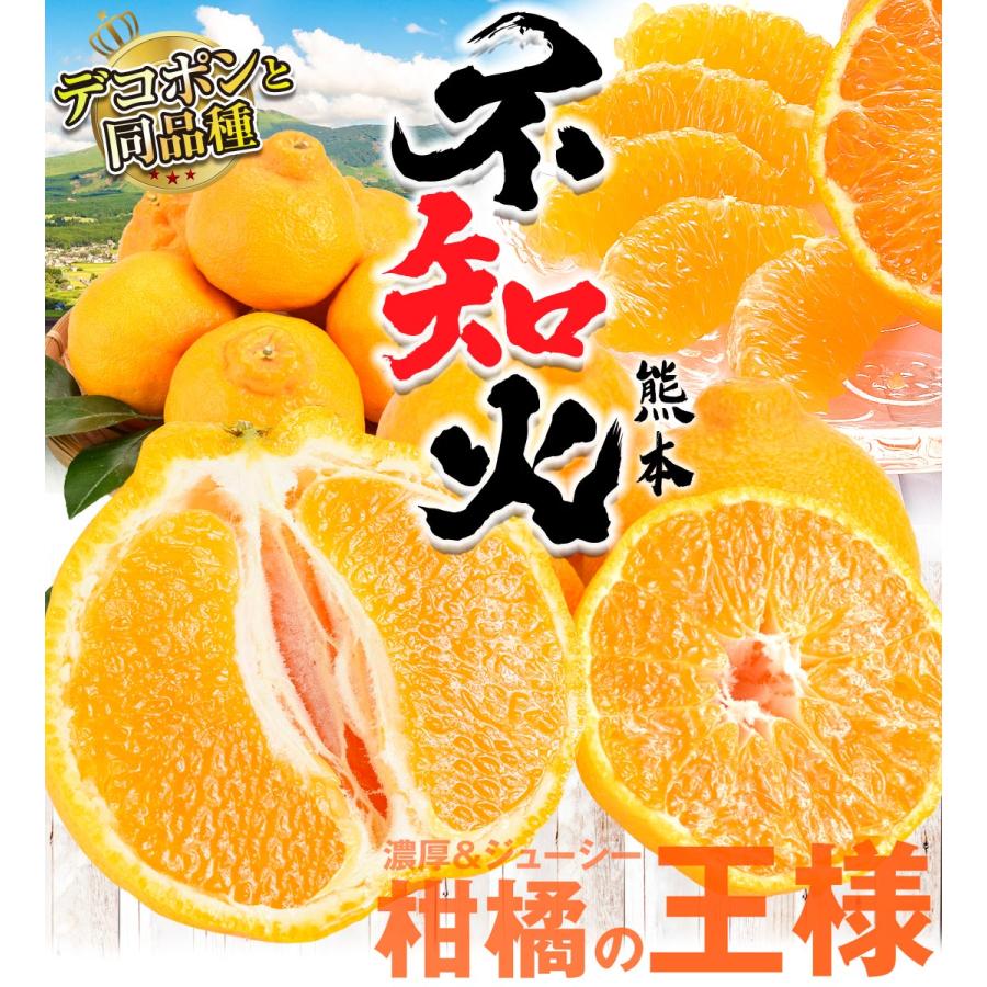 みかん 5kg 不知火オレンジ 熊本産 お買得 不知火 オレンジ デコ