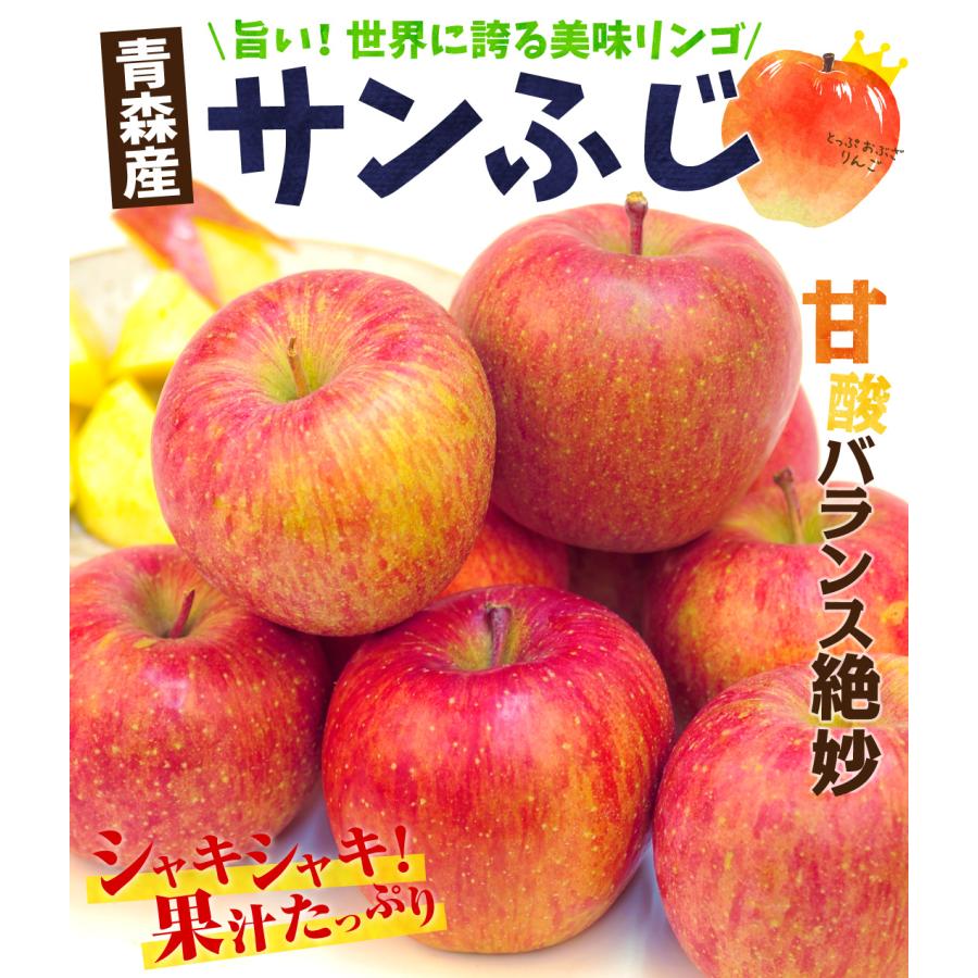 りんご 10kg サンふじ 青森産 ご家庭用 送料無料 食品 : 食 りんご 10kg サンふじ 青森産 ご家庭用 送料無料 食品 : 食