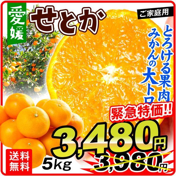 みかん せとか 5kg 愛媛産 大特価 ご家庭用 送料無料 無選別 食品 フルーツ 果物 国華園 :f83589:食みらい・国華園 - 通販 - Yahoo!ショッピング みかん せとか 5kg 愛媛産 大特価 ご家庭用 送料無料 無選別 食品 フルーツ 果物 国華園 :f83589:食みらい・国華園 - 通販 - Yahoo!ショッピング