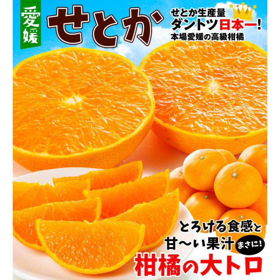 みかん せとか 5kg 愛媛産 大特価 ご家庭用 送料無料 無選別 食品 フルーツ 果物 国華園 :f83589:食みらい・国華園 - 通販 - Yahoo!ショッピング みかん せとか 5kg 愛媛産 大特価 ご家庭用 送料無料 無選別 食品 フルーツ 果物 国華園 :f83589:食みらい・国華園 - 通販 - Yahoo!ショッピング