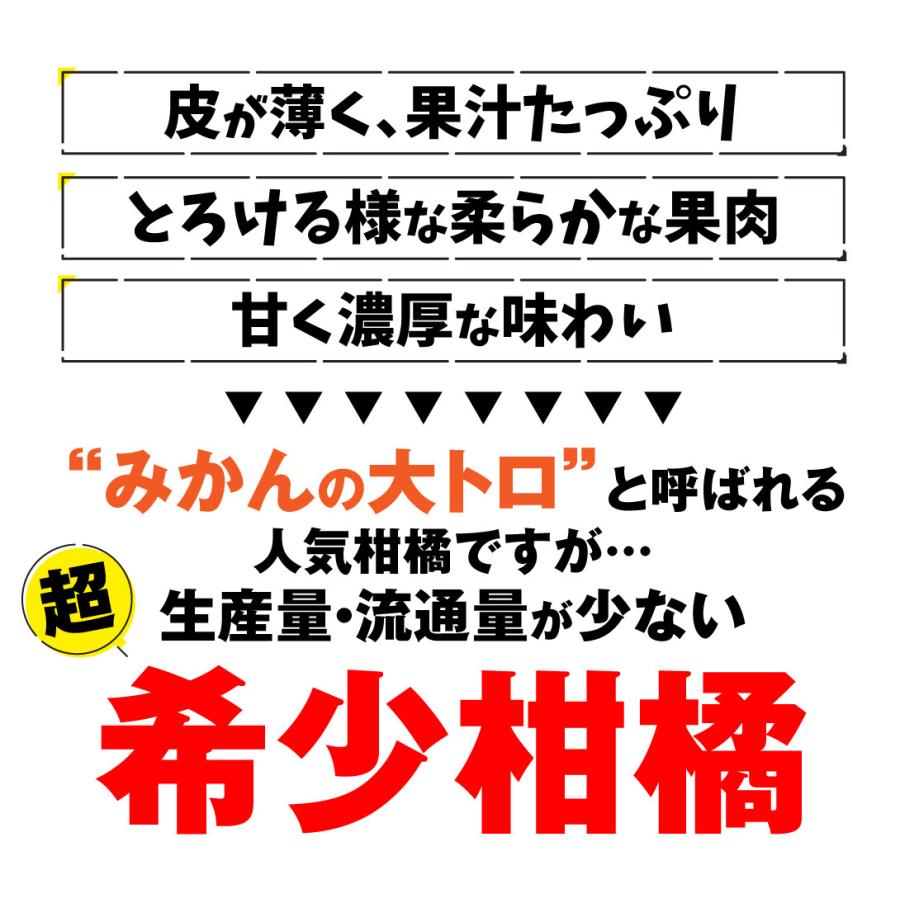 みかん せとか 5kg 愛媛産 大特価 ご家庭用 送料無料 無選別 食品 フルーツ 果物 国華園 :f83589:食みらい・国華園 - 通販 - Yahoo!ショッピング みかん せとか 5kg 愛媛産 大特価 ご家庭用 送料無料 無選別 食品 フルーツ 果物 国華園 :f83589:食みらい・国華園 - 通販 - Yahoo!ショッピング