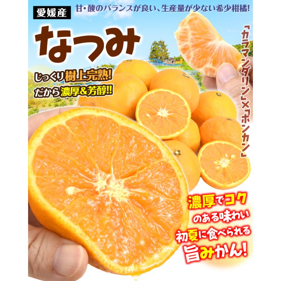 高品質 かるなぁ リブランプラス 玄米ビーフン かぼちゃ 50g 2 Discoversvg Com
