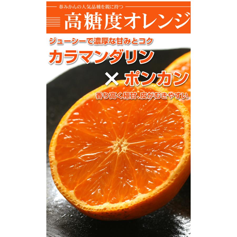 完売 みかん なつみ 5kg 愛媛産 ご家庭用 数量限定 送料無料 食品 フルーツ 果物 国華園 Columbiatools Com