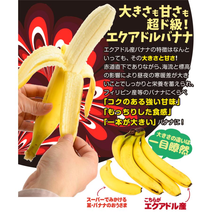 バナナ エクアドル産 2房 約6kg前後 ご家庭用 ハンドバナナ 送料無料