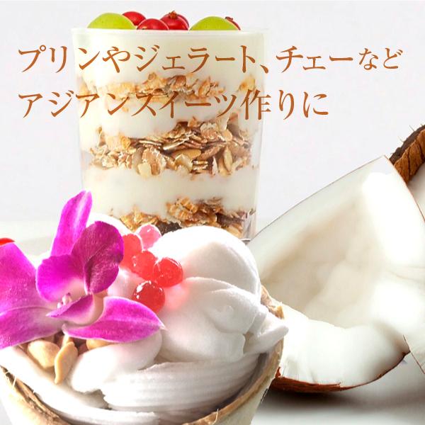 ココナッツ ベトナム産 4玉 オールドココナッツ 南国 送料無料