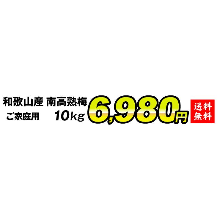 梅 南高梅(熟梅)和歌山産 紀州南高梅 ご家庭用 10kg 送料無料 梅 南高梅(熟梅)和歌山産 紀州南高梅 ご家庭用 10kg 送料無料