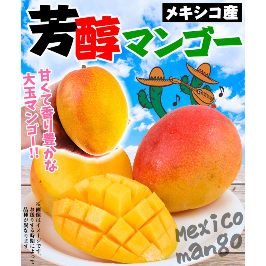 マンゴー 約1kg 芳醇マンゴー メキシコ産 1箱 送料無料 食品｜seikaokoku｜02