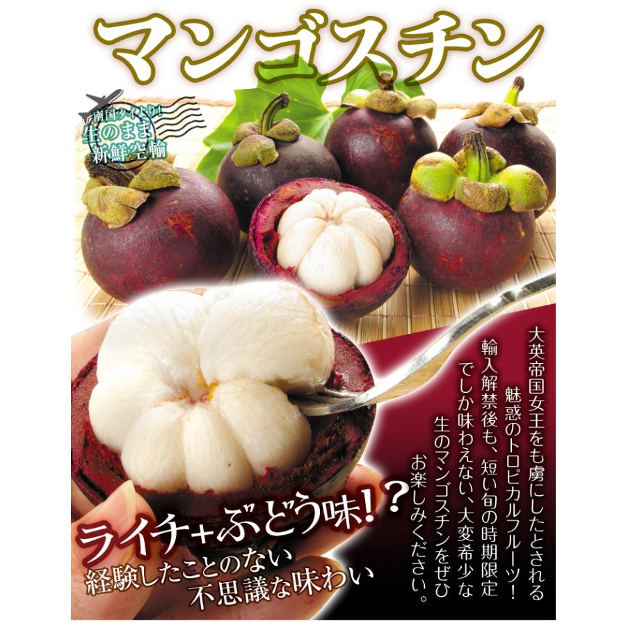 【新鮮】マンゴスチン 約6kg 甘くてジューシー 南国フルーツ マンゴスチン 6玉 タイ産 ご家庭用 熱帯果実 莽吉柿 世界三大美果