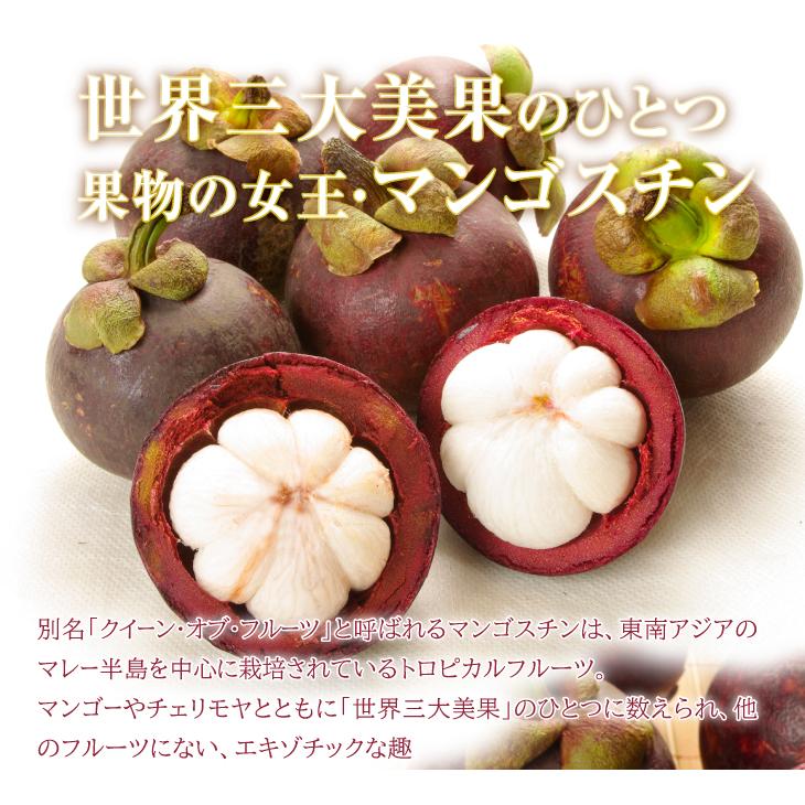 果物 cyaro マンゴスチン 6玉 タイ産 ご家庭用 熱帯果実 莽吉柿 世界三大美果
